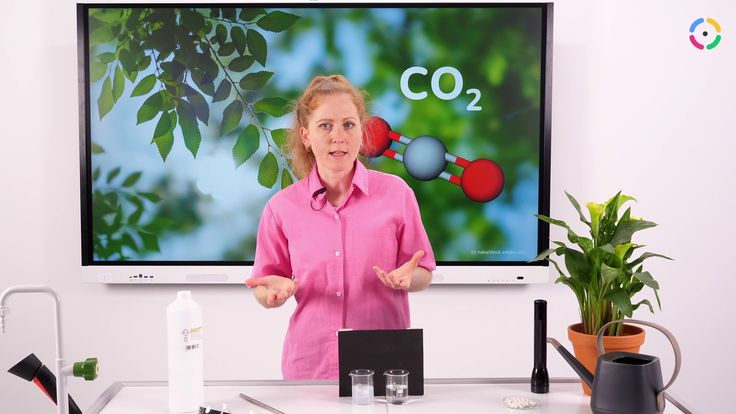 Vorschau zur Stunde "Kohlenstoff und der Kreislauf des Kohlenstoffdioxids"