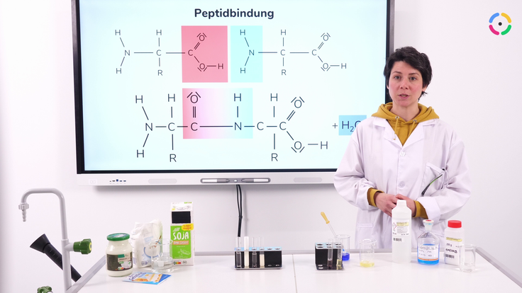 Vorschau zur Stunde "Proteine"