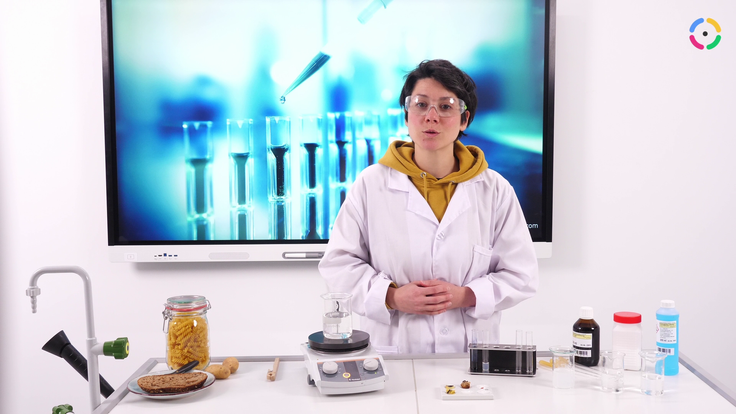 Vorschau zur Stunde "Kohlenhydrate"