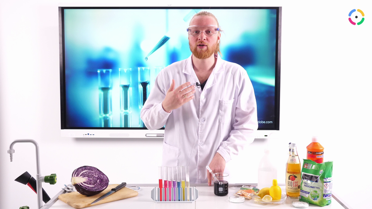 Vorschau zur Stunde "Saure und alkalische Lösungen im Alltag"